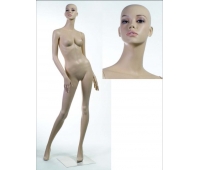 Corpul feminin AA-3 Dummy realist (fără perucă)