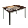 Кухонний стіл ДКС-Престиж Корал 1050х650х750 мм коричневий Фотодрук