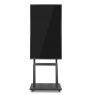 Моноблок 45" RK3568 RAM 4GB