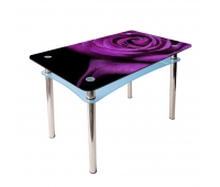 Кухонный стол Абрис Корал 1000x600x750 мм фиолетовый фотопечать