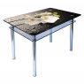 Кухонний стіл КС-1 Корал 1000x600x750 мм чорний фотодрук