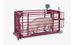 Cum influențează cântarele pentru purcei optimizarea proceselor de lucru