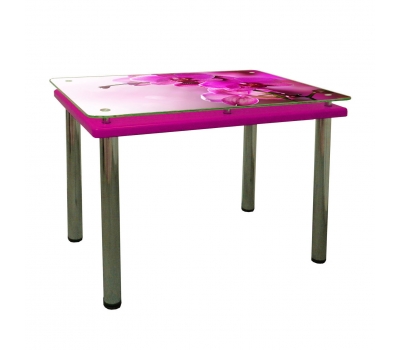 Кухонний стіл Гермес Корал 900х600х790 мм рожевий Фотодрук