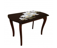 Кухонний стіл ДКС-Класік-4 Корал 1200х700х750 мм коричневий Фотодрук