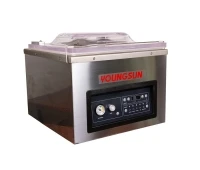 Вакуумная упаковочная машина Youngsun YS-ZS-420Q
