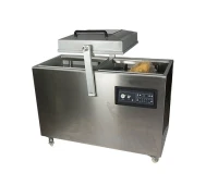 Вакуумная упаковочная машина Youngsun YS-SQ-600SA