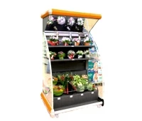 Vitrina frigorifică pentru flori Mango