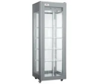 Vitrina frigorifică Frosty RT400L-2