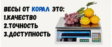 Весы