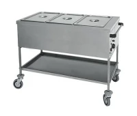 Încălzitor alimentar TWF1760 GGM
