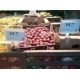 Тримач під рамку з можливістю регулювання кута з рамкою MAXI R (варіант 2)