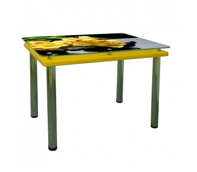 Кухонный стол Гермес Корал 1200х700х790 мм желтый Фотопечать