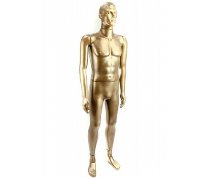 Manechin masculin sensei bronz