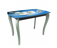 Кухонний стіл ДКС-Класік-2 Корал 1100х700х750 мм блакитний Фотодрук